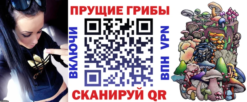 Галлюциногенные грибы Magic Shrooms  Купить закладки  Королёв 