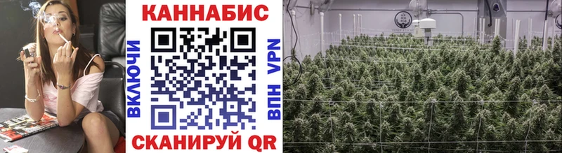 МАРИХУАНА THC 21%  Купить где  Королёв 